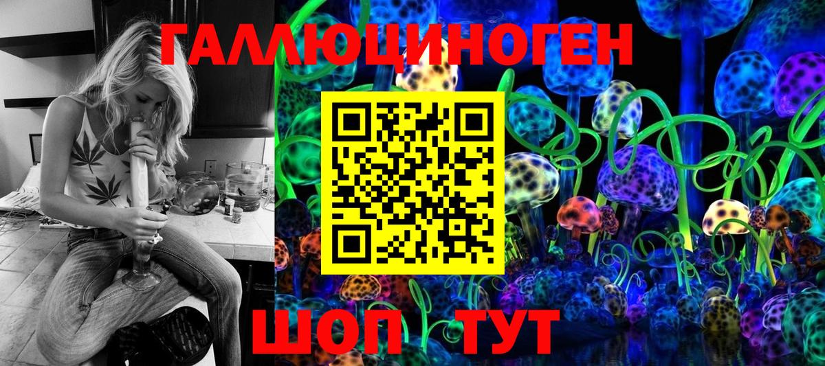 Галлюциногенные грибы MAGIC MUSHROOMS  Вход с VPN  Гусиноозёрск  Галлюциногенные грибы Psilocybine cubensis 